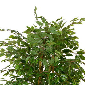 200เซนติเมตรที่งดงาม <span class=keywords><strong>Ficus</strong></span> ต้นไม้พลาสติกนายอำเภอทางเลือกสำหรับตกแต่งบ้าน - Product Image 3
