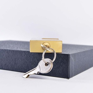 <span class=keywords><strong>Lucchetto</strong></span> per porta ad alta sicurezza ad alta sicurezza <span class=keywords><strong>lucchetto</strong></span> rettangolare antifurto <span class=keywords><strong>lucchetto</strong></span> in ottone con bullone <span class=keywords><strong>scorrevole</strong></span> Anti martello sicuro - Product Image 4