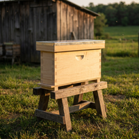 Premium-Kiefern-2-Rahmen-Königinnen-Aufzuchtbox – Robuster, 18-20 mm dicker Bienenzuchtkasten für professionelle Bienenstöcke