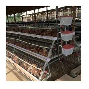 Egg Laying Chicken Cage/Chicken Breeding Cage