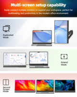 15.6 Inch FHD 1920x1080 USB Monitor Stock Portable Monitor for Laptop
