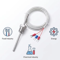 RTD PT100 PT1000 Temperature Sensor Probe Class a Stainless Steel with 1m 3m 5m Fiberglass Cable for Gas Liquid
