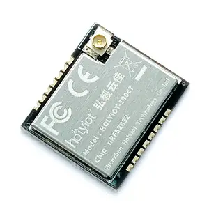 Holyiot Usb 테스트 보드 2.4g 블루 치아 Ble 개발 보드 Usb Ble 5.3 메쉬 Sigmesh 블루 치아 모듈 nRF52832