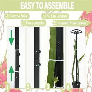 <span class=keywords><strong>Enrejado</strong></span> <span class=keywords><strong>para</strong></span> plantas trepadoras, <span class=keywords><strong>enrejado</strong></span> de plantas, torre de fruta de dragón, poste de escalada <span class=keywords><strong>para</strong></span> jardín de vegetales, hogar, <span class=keywords><strong>Patio</strong></span> interior y exterior - Product Image 4