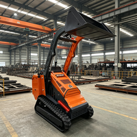 Mini-chargeuse sur chenilles pour le déneigement, le dégagement des routes et les travaux de nivellement