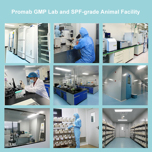 สารละลายโซเดียมซิเตรตสำหรับสกัดแอนติเจน (50X) pH6.0 - Product Image 4