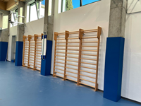 Offre Spéciale Barre murale de gymnastique en bois à échelle suédoise à double paroi-Marque HANGJIA écologique portable