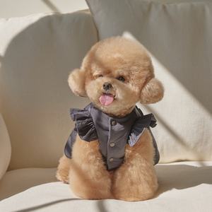 2025 sonbahar ve kış yeni iki parçalı gri yay kazak ceket + kürk eşarp kedi küçük köpek giysileri - Product Image 5