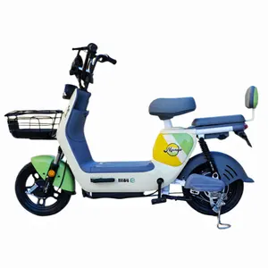 Electric Bike Portable Lightweight Shock Absorption 14 Inch 350W Folding Electric Bike 45km Mile Up By Pedal