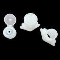 Bouchon à bec verseur en plastique 16 mm avec couvercle à charnière pour emballages de lotions, crèmes, shampoings et produits de soin personnel