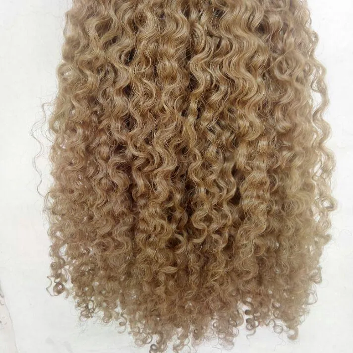 100 authentic virgin hair clip in human hair kinky curly bundles blonde clip on hair extension seamless raw clip ins