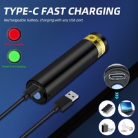 Mini lampe torche UV 395nm rechargeable portable pour la détection d'urine d'animaux, le durcissement de la résine et les agents fluorescents