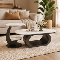 Table basse ovale moderne en métal, design minimaliste et créatif, idéale pour salon familial, combinaison de formes spéciales
