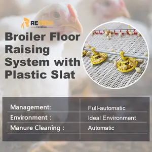 Poultry Equipment Company Poultry Farm Chicken House Automatic Broiler Floor Raising Equipment