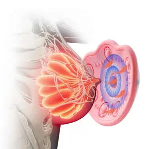 Macchina elettrica per aumentare il seno allattamento al seno massaggiatore vibrante per l'ingrandimento del seno per condotti intasati