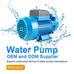 Mini pompes à eau propre électriques QB Pompes QB80 1/2HP Moteur électrique manuel Monophasé Trois moteurs Prix Pompe de surpression QB60 - Product Image 5