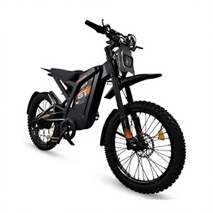 NUOVA ORIGINALE 2025 GT2000 Moto Elettrica da Fuoristrada per Tutti i Terreni - Product Image 1