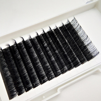 Extensions de cils, greffe de cils individuels, plateau de cils personnalisé, extensions de cils courbure CC DD, vison 20MM, fourrure de vison, volume intense, OEM ODM T/T
