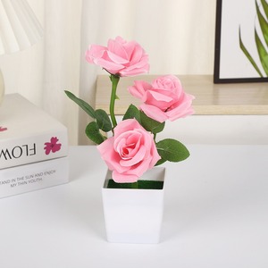 Bán buôn <span class=keywords><strong>3</strong></span> chậu vuông cây hoa hồng với các cạnh uốn thực tế và thân thiện với môi trường để trang trí nhà và nhiếp ảnh - Product Image 5