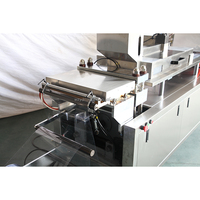 Machine d'emballage sous blister d'acides hyaluroniques DPP420