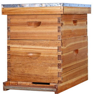 Colmena Langstroth de 2 Niveles, Resistente, de Madera de Abeto, con 1.5 Años de Garantía, Suministros de Apicultura - Product Image 2