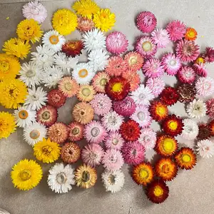 50 pz/borsa testa di fiore essiccato margherita colorata all'ingrosso pacchetto materiale fai da te paglia crisantemo decorazione materiale fiore reale
