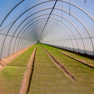 Serre commerciale polytunnel, tunnel haute performance, serre type Quonset - Product Image 5