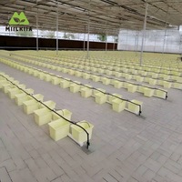 Seau de culture hydroponique sans terre et boîte de semis pour serre, modèle néerlandais