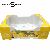 Emballage en plastique PP Corflute Boîte d'emballage de stockage en polypropylène ondulé en plastique citron fruits et légumes
