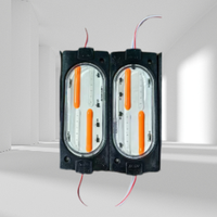 Accessoires d'éclairage automobile 12V 24V clignotants, module de lumière latérale de camion à LED stroboscopique, lumière d'avertissement de camion à LED avec avertissement d'urgence
