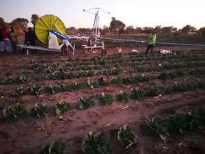 Ирригатор с водяным колесом - Product Image 6