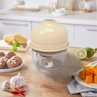 Mini hachoir à viande électrique multifonctionnel 2025, hachoir à ail rechargeable par USB, nouveaux appareils de cuisine en plastique