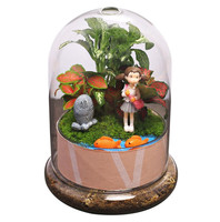 Vase de table moderne en verre dôme transparent glaçure transparente décorative jardin de noël nature plantes mousse présentoir base pour intérieur