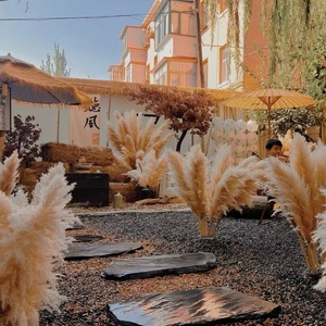 <span class=keywords><strong>Planta</strong></span> seca de Flor de Caña de Pampa roja grande natural para paisaje de boda y decoración de muebles para el hogar ramo de decoración del hogar de Internet - Product Image 4