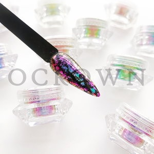 Bán Buôn Nail Cung Cấp Chất Lượng Tốt Nhất Acrylic Nail Powder Tắc Kè Hoa Flake - Product Image 1