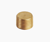 1/8 1/4 3/8 1/2 3/4 1 pouce bouchon à vis conique pour eau air carburant Pipeline Pack Bsp bouchon en laiton 1/8 NPT joint affleurant bouchon de tuyau en laiton