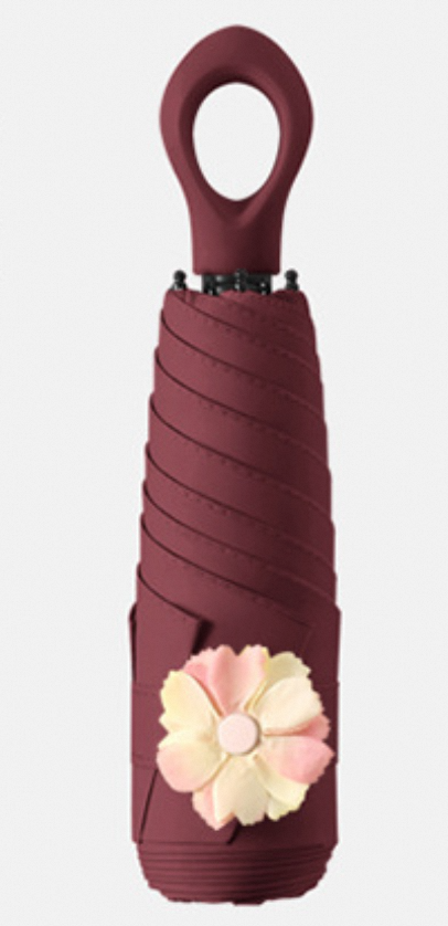 มณฑลเบอร์กันดี