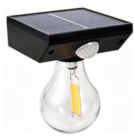 Lampe murale de jardin extérieure à induction corporelle IP65 avec ampoule à filament de tungstène solaire