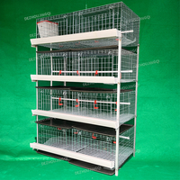 Cage pour Poulets de Chair 3/4 Étages 60-80 Oiseaux Type H Équipement de Batterie Galvanisé Cages à Poulets de Chair pour Élevage Avicole à Domicile
