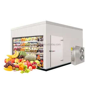 Équipement de réfrigération de refroidisseur d'unité pour la chambre froide, condensateur refroidi par air, évaporateur de chambre froide