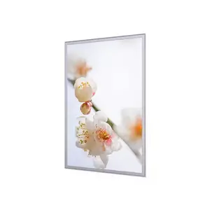 LED Display Wall Hanging Poster Photo Frame Sparkler Light Box Advertising A0-A4