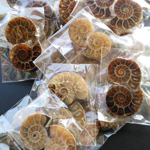 Mini Madagascar Ammoniet Fossiel Half Paar-Natuurlijk Gepolijst Ammoniet Fossiel Exemplaar Voor Collectie Home Decor Cadeau - Product Image 4