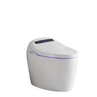 Projet d'exportation - Certification CE UE - Toilette intelligente à commande à distance en acier inoxydable, à poser au sol, entièrement automatique