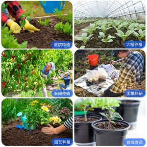 Soil Tester Multifunctional Ph Moisture Meter For Agriculture Field Horticulture Garden Use - Product Image 3
