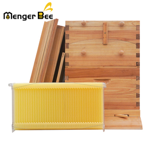 Matériel d'apiculture de qualité supérieure : Ruches à écoulement automatique en bois de sapin de Chine, enduites de cire, pour la collecte automatique du miel - Product Image 3
