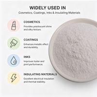 Poudre de Mica Synthétique 325 Mesh de Qualité Industrielle pour Peinture et Plastique