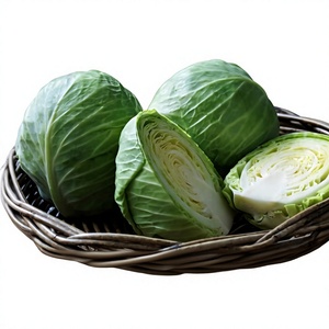 Repollo Verde Fresco de Grado A, Cultivado en Granja, Suministro al por Mayor - Product Image 1