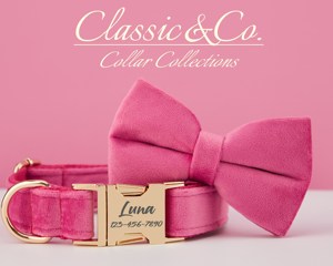 Ensemble collier et laisse pour chien en velours uni personnalisé avec nom d'animal gravé, clochette et nœud en velours pêche, livraison gratuite - Product Image 2