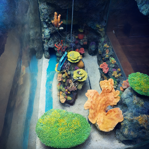 Escultura de Arrecife de Coral Artificial Personalizada para Acuarios y Exhibiciones Temáticas Oceánicas - Product Image 3