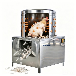 <span class=keywords><strong>Plumeuse</strong></span> à poulet et cailles en acier inoxydable durable de 80 cm pour 8 poulets, modèle professionnel - Product Image 1